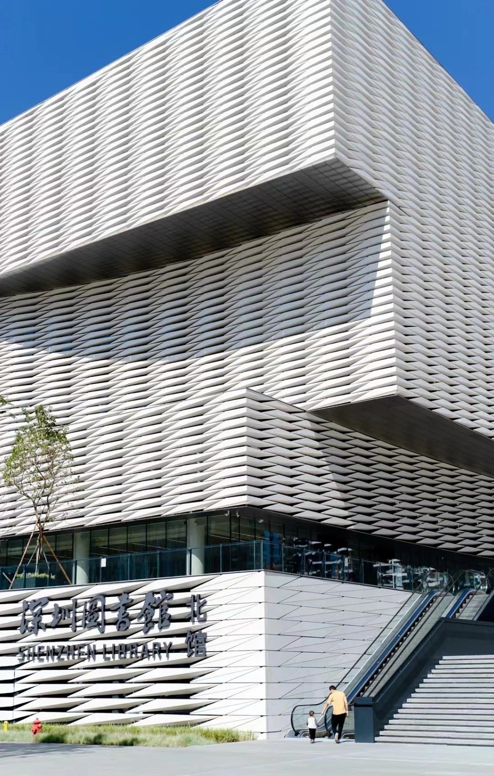 1712451204499548.jpg 1712451204499548.jpg